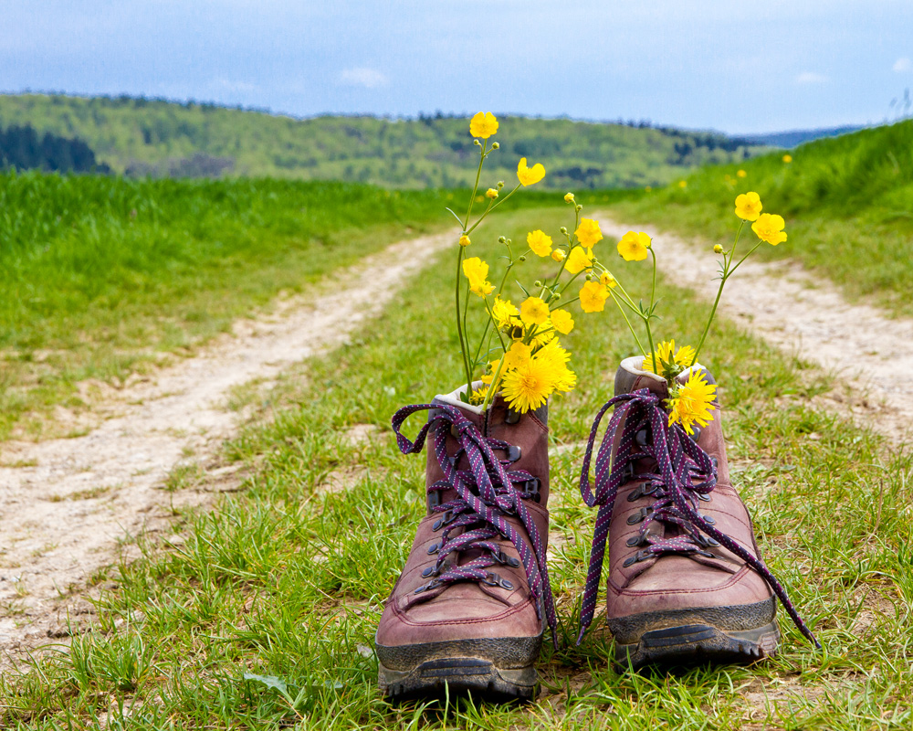 Chaussures de randonnée posées sur un chemin ; fleurs à l'intérieur des chaussures